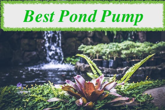 best pond pump uk reviews
